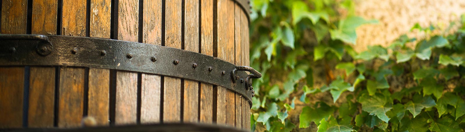 Le Domaine du Père Caboche, le fruit d'une longue lignée de vignerons de Père en fils depuis 4 siècles.